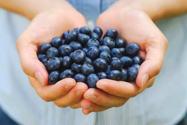 Beneficiile consumului de afine - fructul medicament