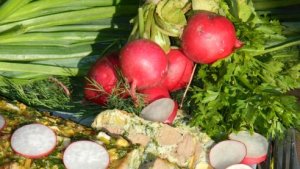 Drob de pui cu leurda