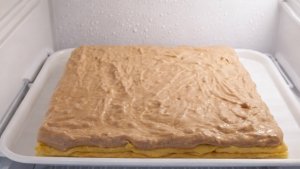 Prajitura Cu Crema De Ness