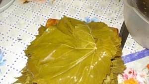 Frunze de vita pentru sarmalute